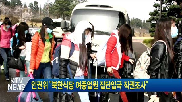 인권위 "북한식당 여종업원 집단입국 직권조사"