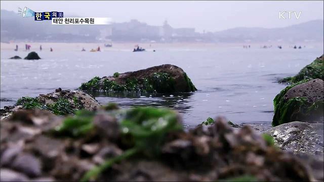 태안 천리포수목원