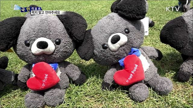 먹지 말고 안아주세요···개 식용 종식 청원 20만 넘어