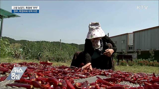 '역대 최악' 폭염···고령 농민 온열질환 '비상'