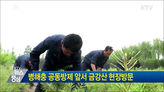 병해충 공동방제 앞서 금강산 현장방문