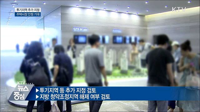 이달 말 '투기 규제지역' 추가 지정···주택시장 안정 기대