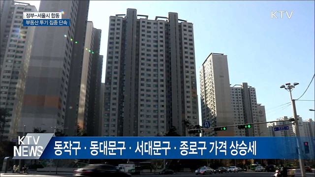 내일부터 부동산 투기 집중 단속