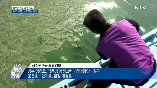 '녹조비상' 상수원 7곳 조류경보···수질관리 '총력'