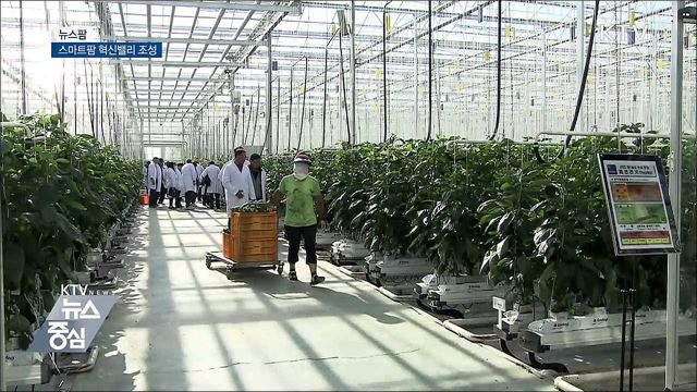스마트팜 혁신밸리 조성 [뉴스팜]