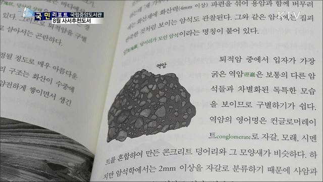 8월 사서추천도서···익숙한 것들에 호기심 가져보세요