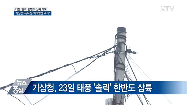 태풍 '솔릭' 한반도 관통할 듯···"피해발생 우려"