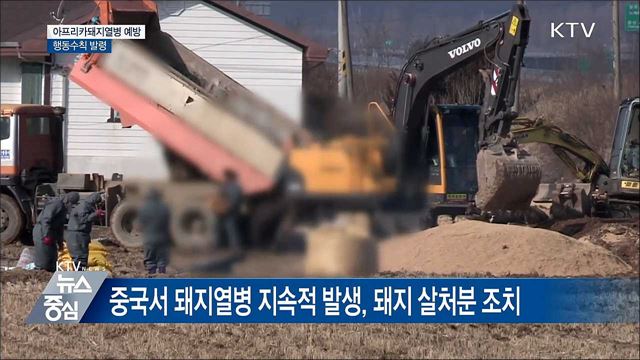 치사율 100% '아프리카돼지열병'···예방 행동수칙 발령