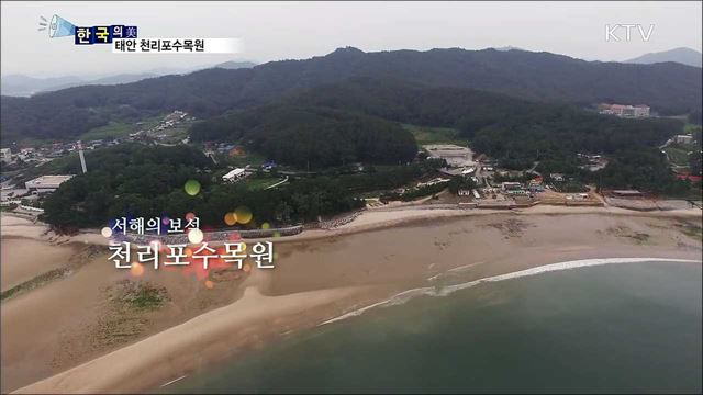 태안 천리포수목원 [한국의 美]