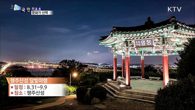 이 주의 문화가 산책