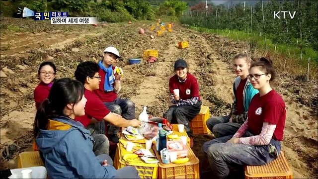 청년들에게 딱!···'헬프엑스·우프'로 해외 여행