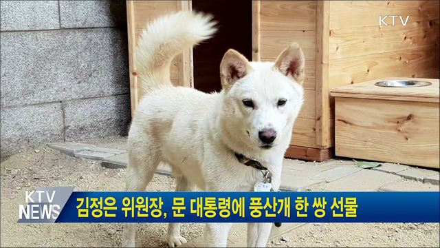 김정은 위원장, 문 대통령에 풍산개 한 쌍 선물