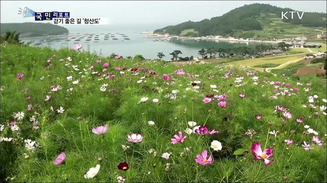 걷기 좋은 길 '청산도'