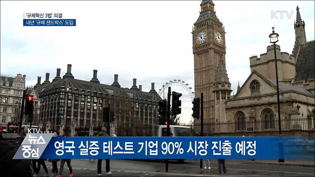 내년부터 '한국형 규제 샌드박스' 도입