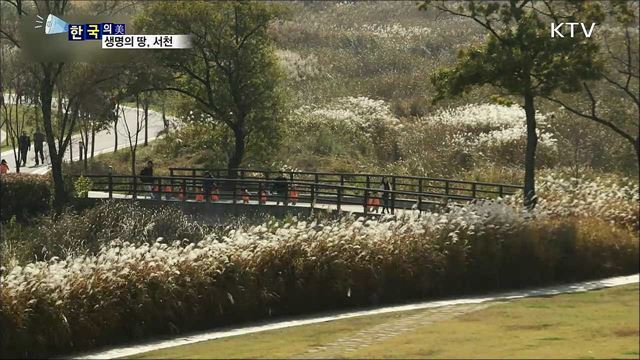생명의 땅, 서천 (한국의 美)