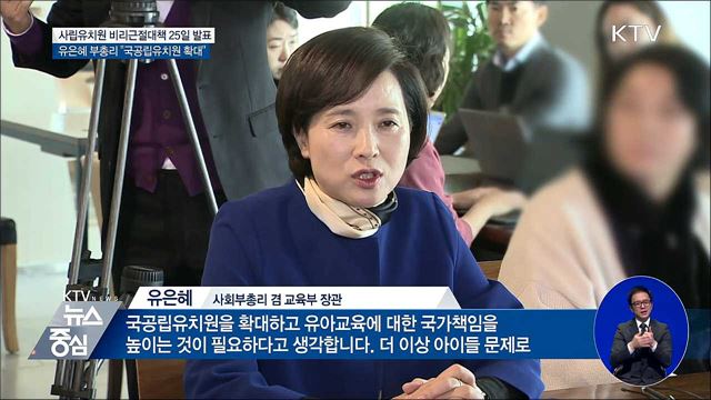 사립유치원 비리 근절 종합대책 25일 발표