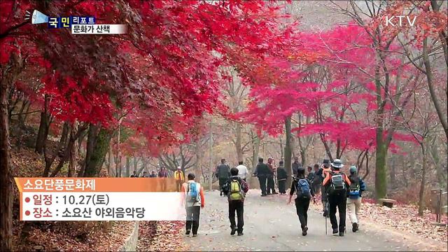 이 주의 문화가 산책(18. 10. 25. 8시)