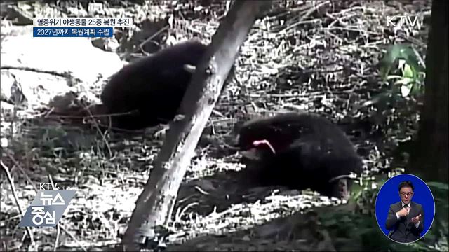 멸종위기종 25종 10년 내 복원·서식지 보전 강화