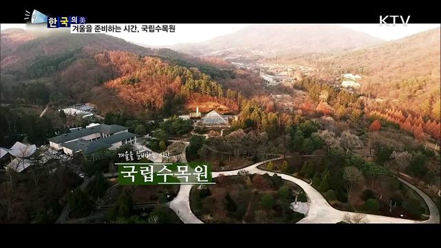 겨울을 준비하는 시간, 국립수목원 [한국의 美]