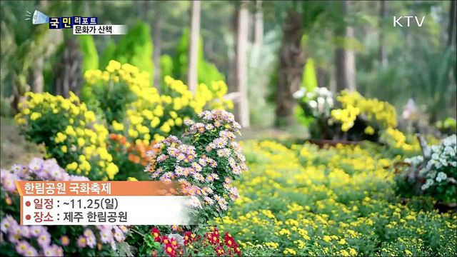 이 주의 문화가산책