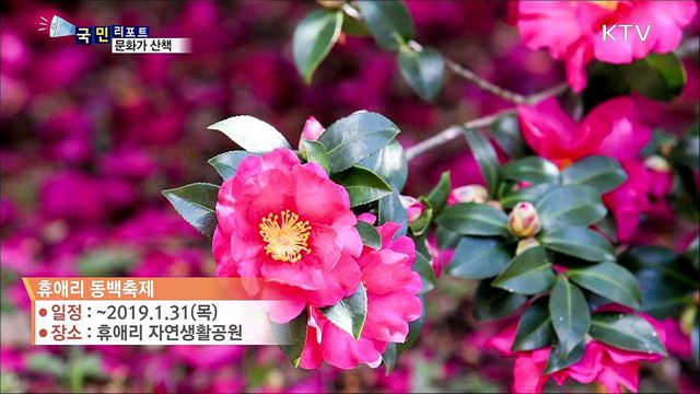 이 주의 문화가 산책 (18. 11. 22. 08시)