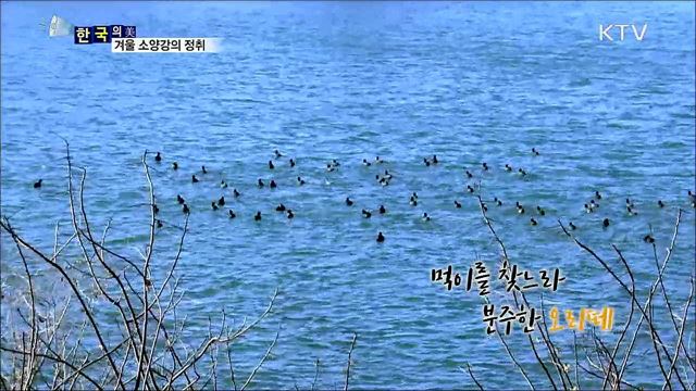 한국 소양강의 청취 [한국의 美]