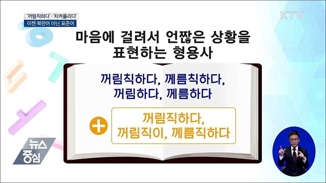 '꺼림직하다'·'치켜올리다', 이젠 북한어 아닌 표준어