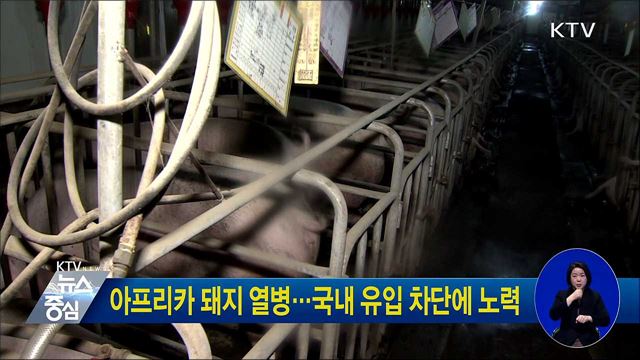 아프리카 돼지 열병···국내 유입 차단에 노력