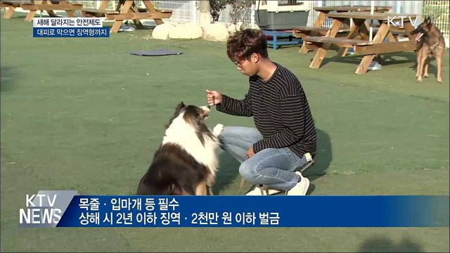 대피로 막으면 징역형···반려견 입마개 필수