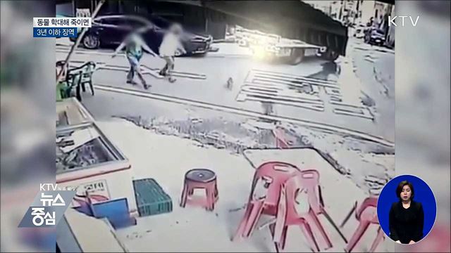 동물 학대해 죽이면 '3년 이하 징역'