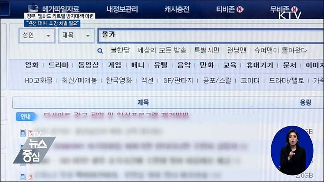 "최강 처벌 필요"···'웹하드 카르텔' 뿌리 뽑는다