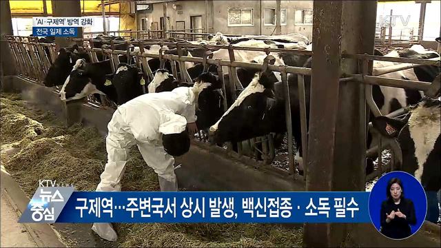 겨울철 기승 'AI·구제역'···설 앞두고 '일제 소독'