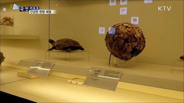 건강한 한방 체험···한자리에서 만나요