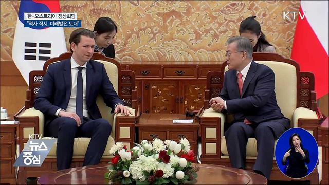 한·오스트리아 정상회담 "역사 직시, 미래발전 토대"