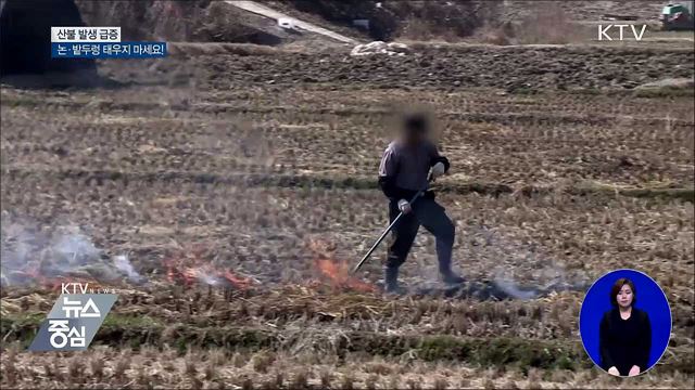 산불 발생 급증···논·밭두렁 태우지 마세요!