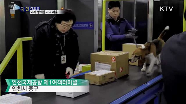 인천공항 식물검역 체험···외래 병해충과의 싸움