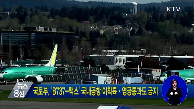 국토부, 'B737-맥스' 국내공항 이착륙·영공통과도 금지