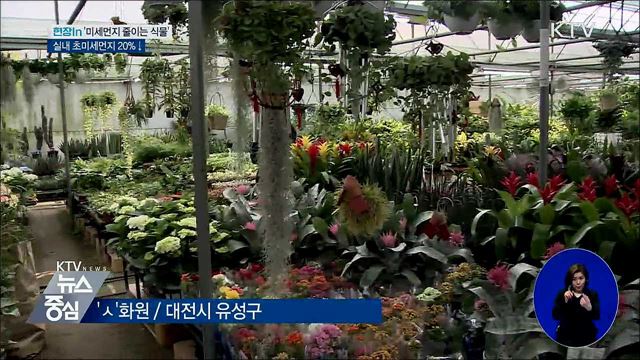 실내 초미세먼지 먹는 식물 '톱5' [현장in]