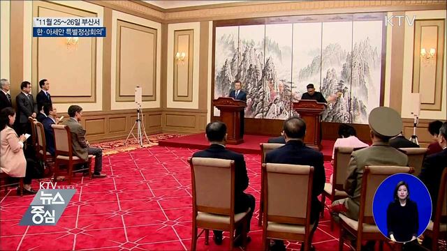 "11월 25~26일 부산서 한·아세안 특별정상회의"