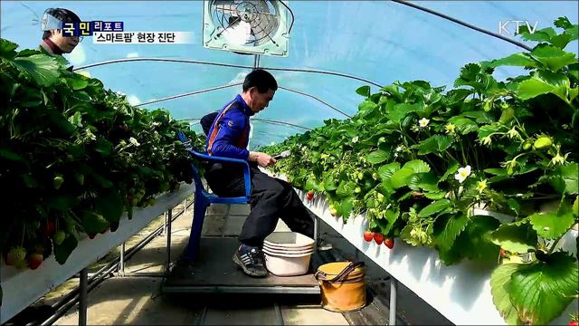 '스마트팜' 현장 진단···기대 속 보완 목소리