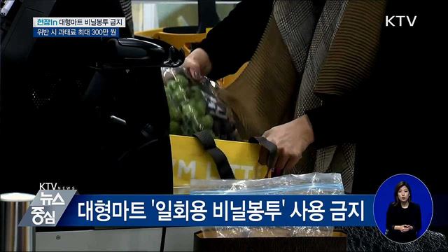 일회용 비닐봉투 사용금지···위반하면 과태료 [현장in]