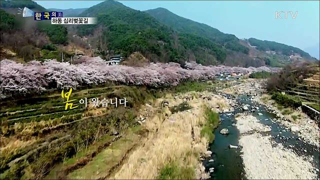 하동 십리벚꽃길 [한국의 美]