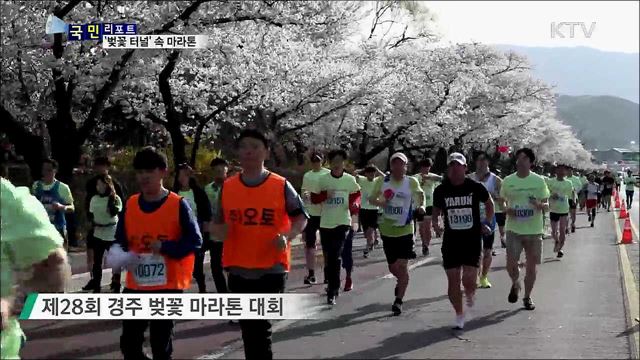 '벚꽃 터널' 마라톤 성황···외국인 감탄 연발