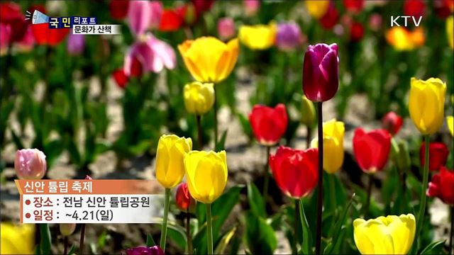 이주의 문화가 산책