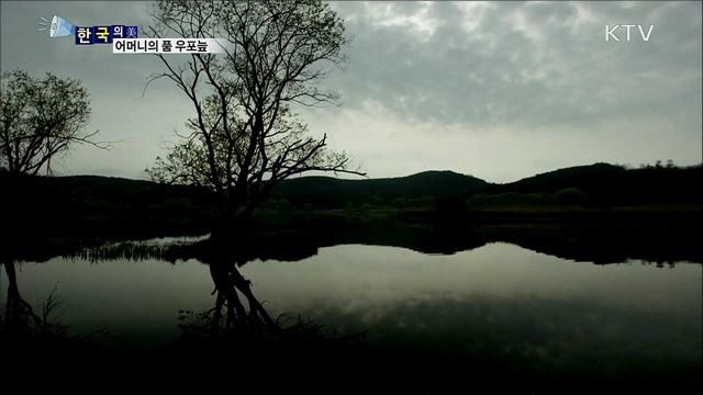 어머니의 품 우포늪 [한국의 美]