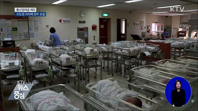 고령자 운전면허 반납 급증···인센티브 효과 '톡톡'