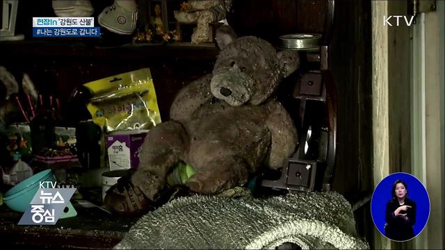 잿더미 뚫고 싹트는 희망···#나는 강원도로 갑니다 [현장in]