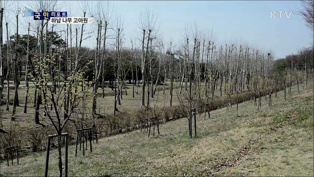 아낌없이 주는 나무숲 '하남 나무 고아원'