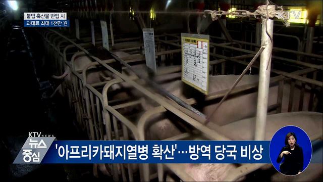 "불법 축산물 반입 과태료 최대 1천만 원"