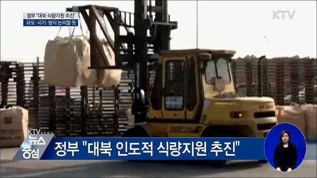 "대북 식량지원 추진 계획, 조만간 발표"